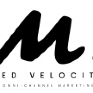  VectorCMS
